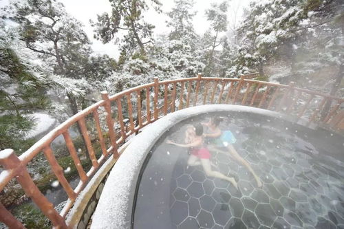 蒙山旅游度假區圓滿收官，累計接待游客26.07萬人次，實現旅游綜合收入1060.29萬元