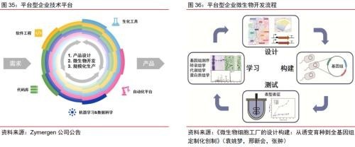 合成生物乘勢而起 顛覆傳統引領未來，軟件開發助力行業龍頭迎戴維斯雙擊